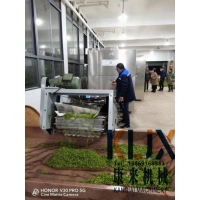 400型多層微波茶葉殺青機(jī)